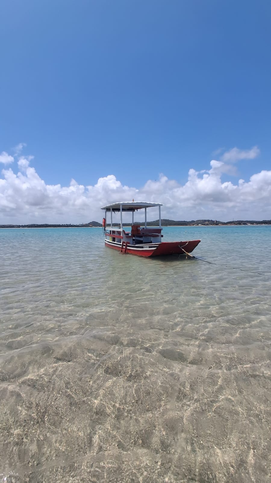 Maragogi Passeios e Transfer