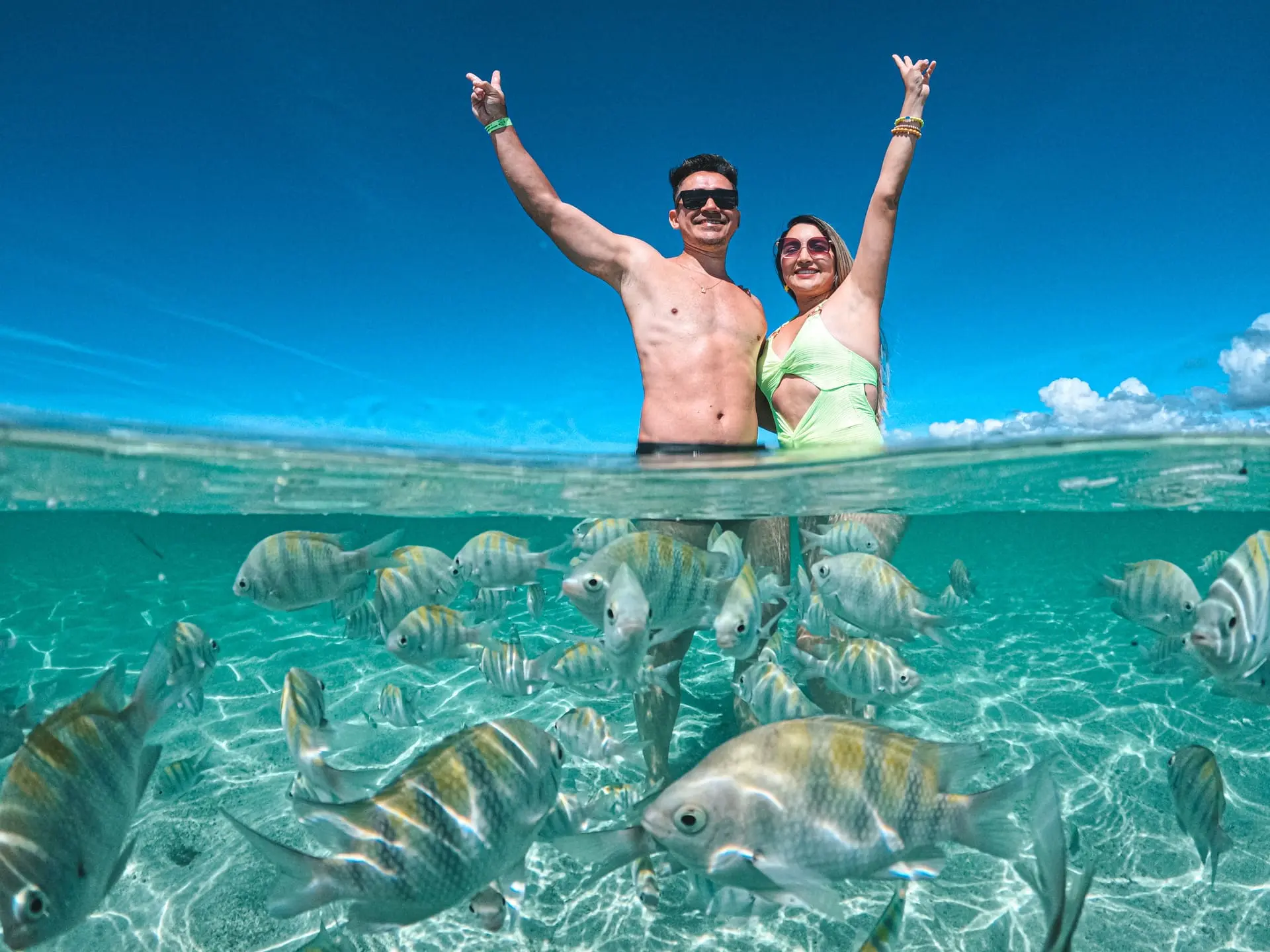 Maragogi Passeios e Transfer